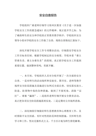 安全自查报告