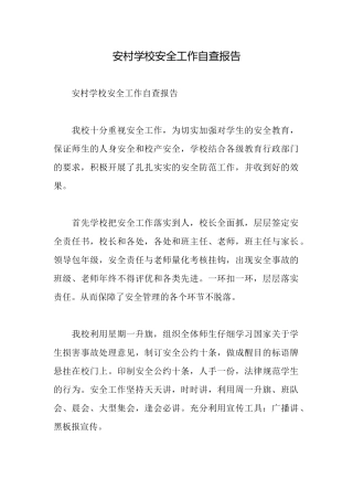 安村学校安全工作自查报告