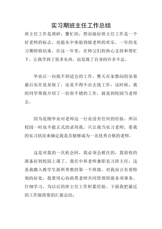实习期班主任工作总结