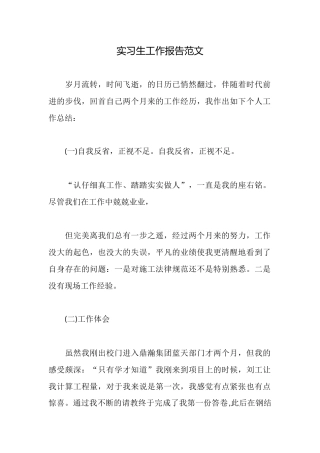 实习生工作报告范文