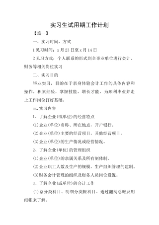 实习生试用期工作计划