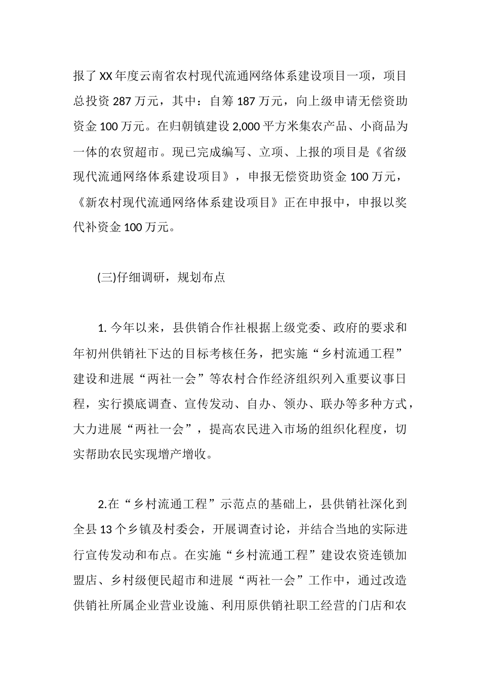 实施乡村流通工程建设工作情况报告_第2页