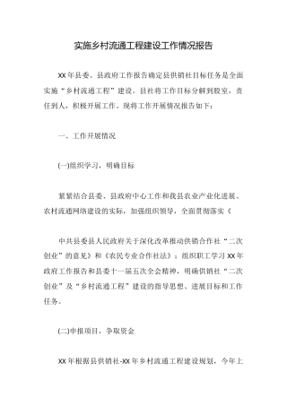 实施乡村流通工程建设工作情况报告