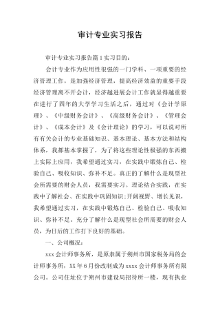审计专业实习报告