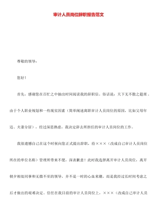 审计人员岗位辞职报告范文
