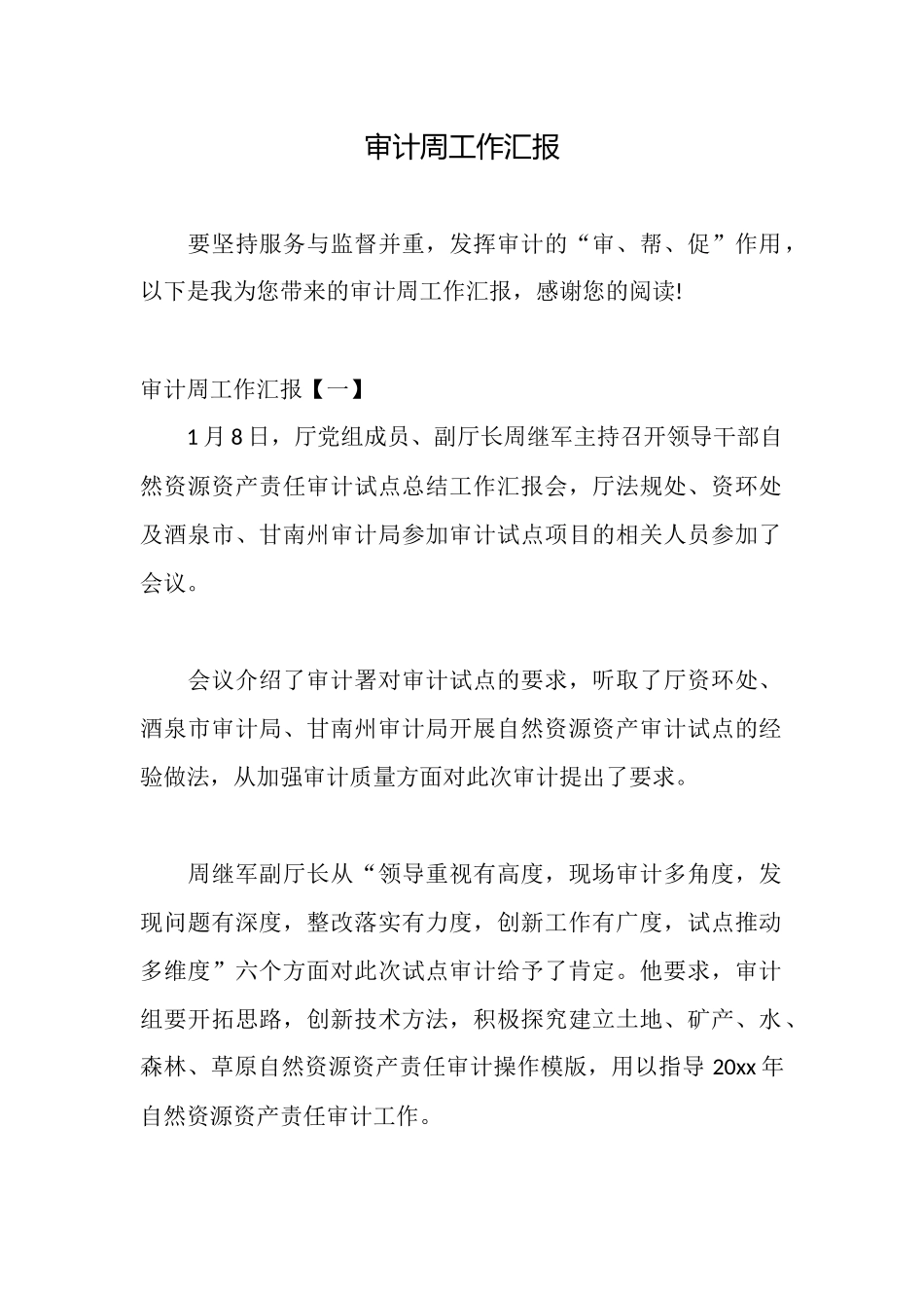 审计周工作汇报_第1页