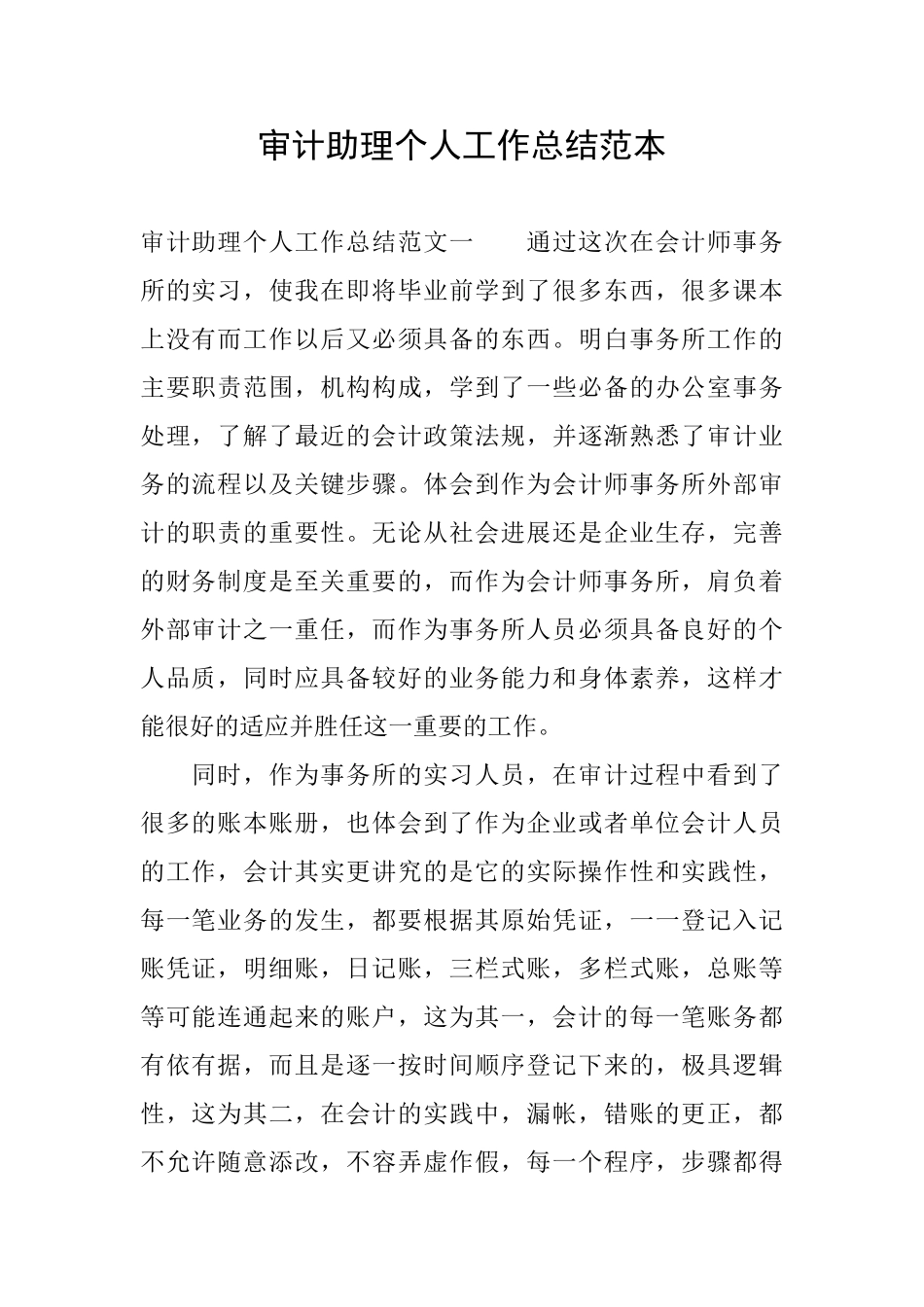 审计助理个人工作总结范本_第1页