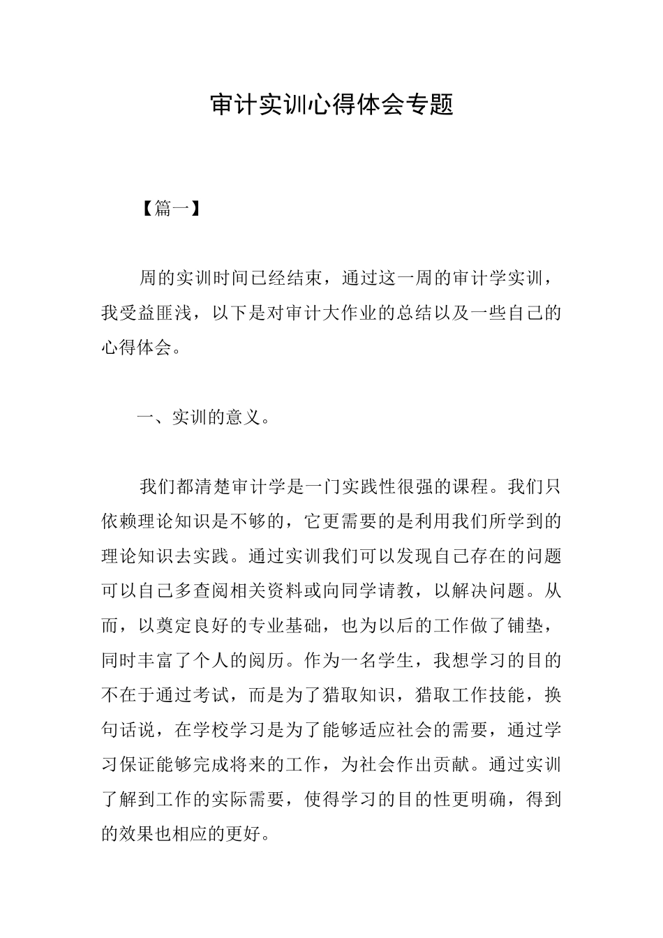 审计实训心得体会专题_第1页