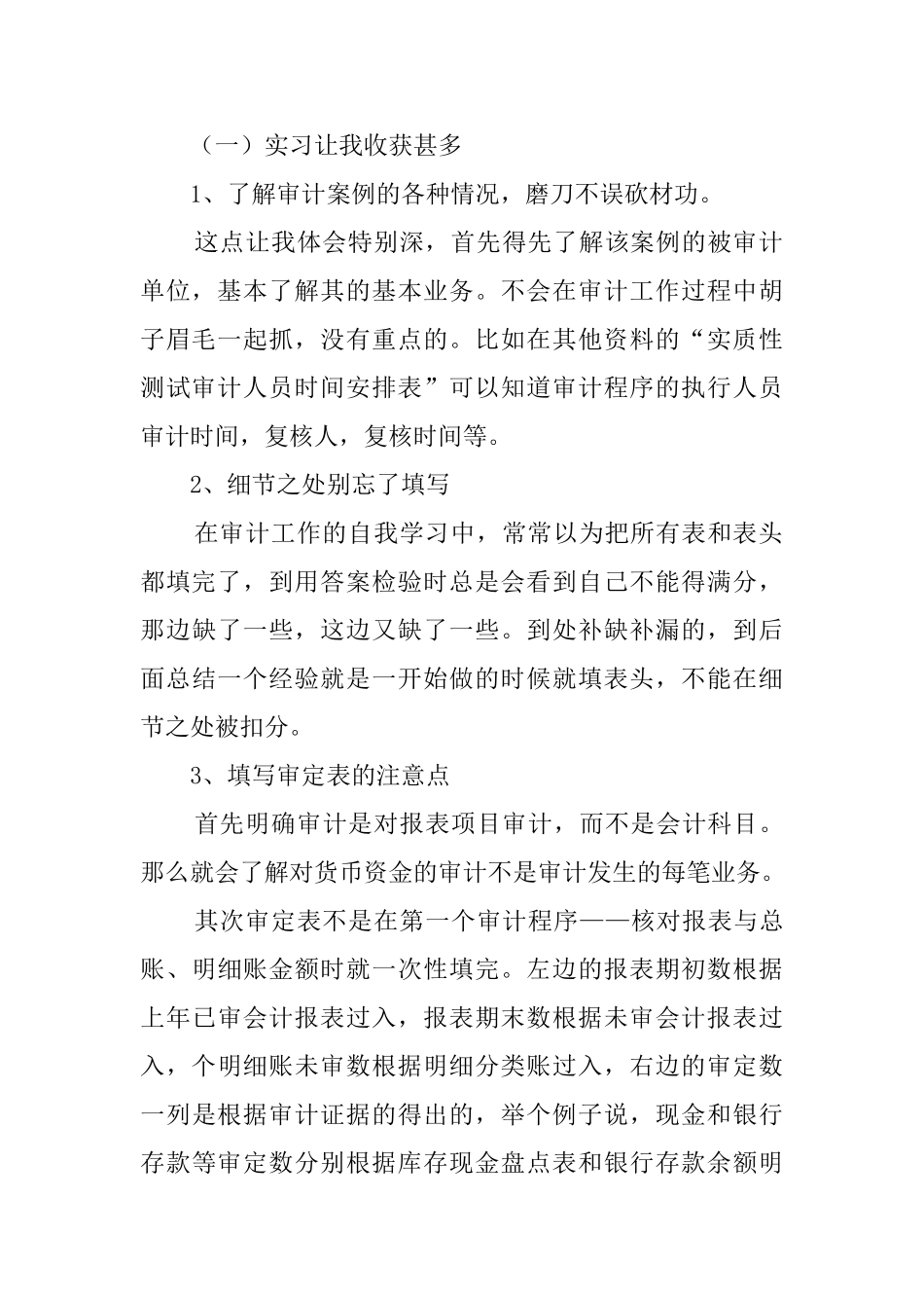 审计实习生报告范文_第2页