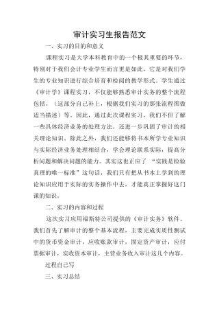 审计实习生报告范文