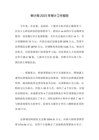 审计局2025年审计工作报告