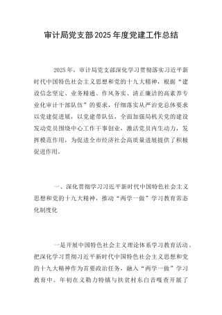 审计局党支部2025年度党建工作总结