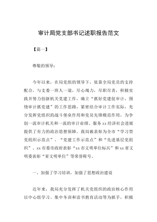 审计局党支部书记述职报告范文