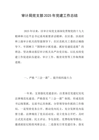 审计局党支部2025年党建工作总结