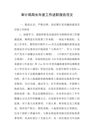 审计局局长年度工作述职报告范文