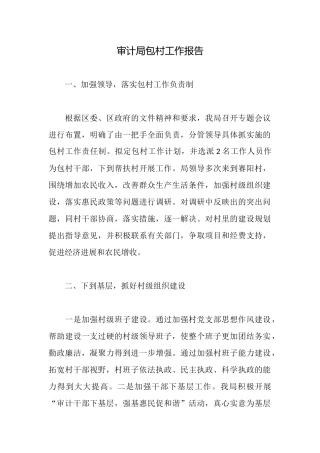 审计局包村工作报告