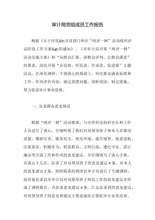 审计局党组成员工作报告