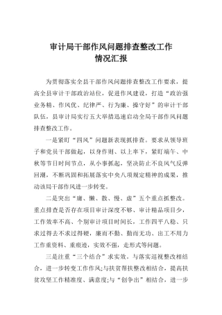 审计局干部作风问题排查整改工作情况汇报-