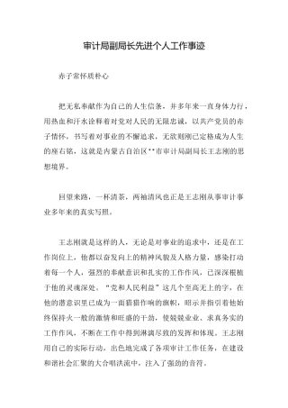审计局副局长先进个人工作事迹