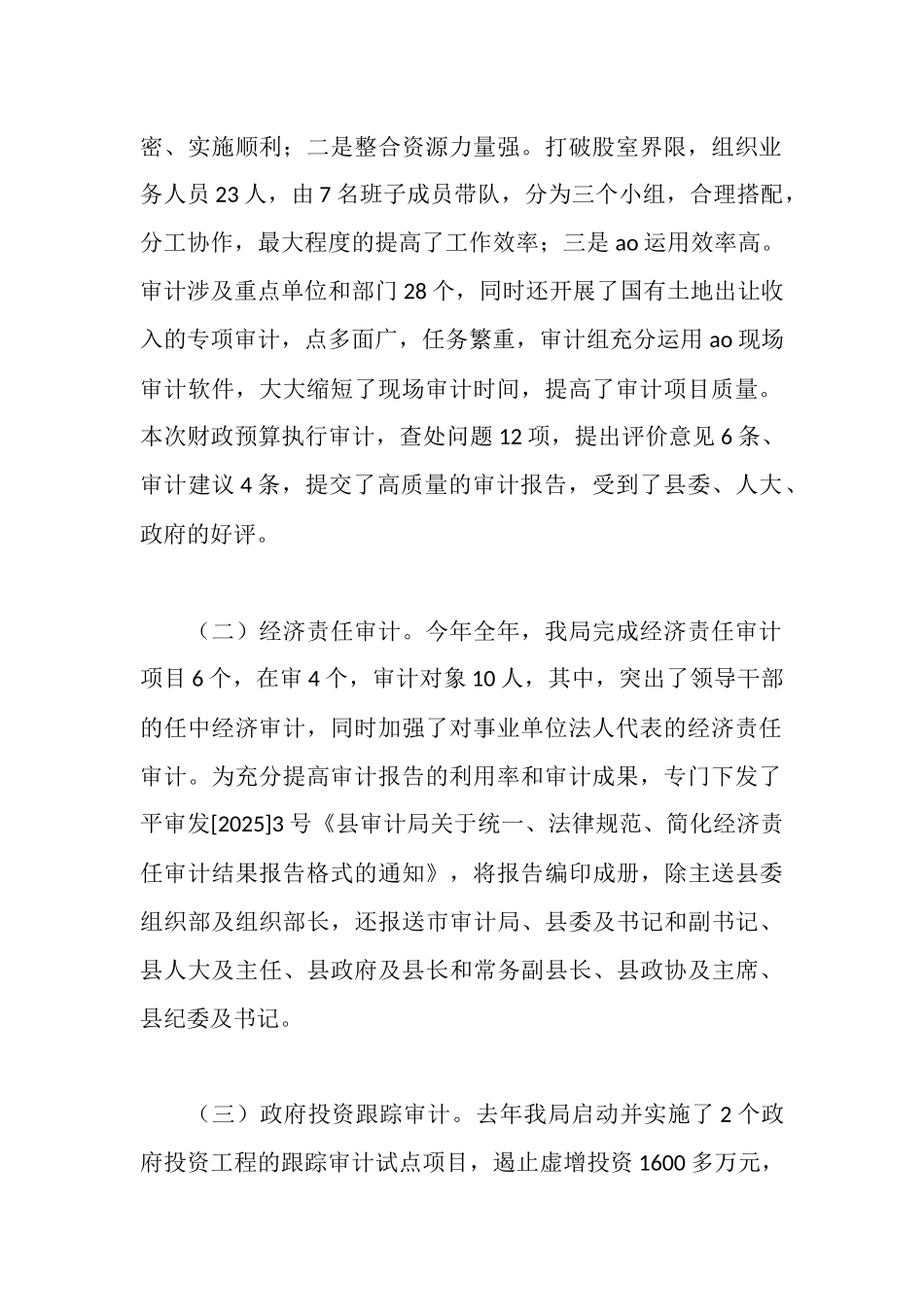 审计局工作汇报_第2页