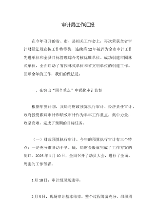 审计局工作汇报
