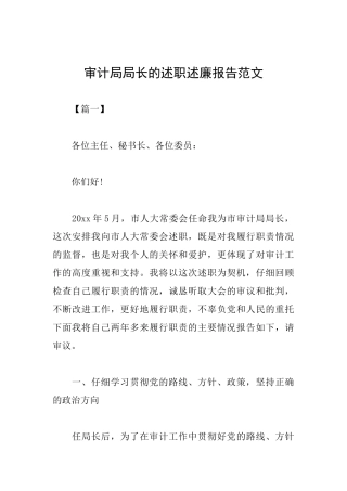 审计局局长的述职述廉报告范文