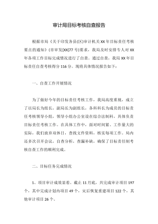 审计局目标考核自查报告