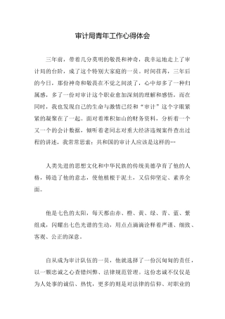 审计局青年工作心得体会