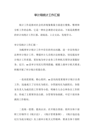 审计局统计工作汇报