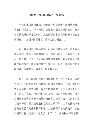 审计干部执法情况工作报告