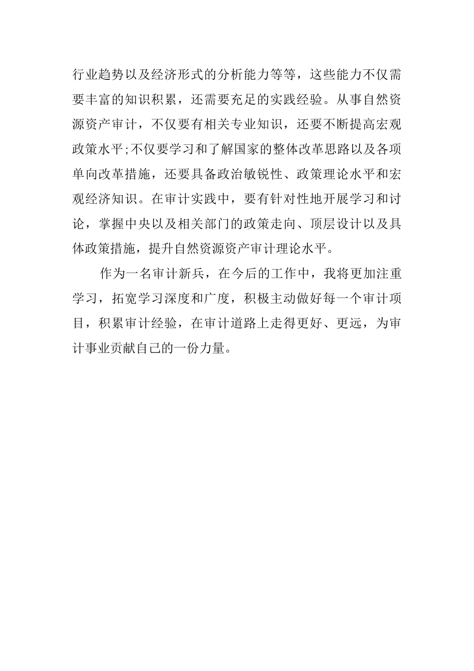 审计项目实践锻炼活动总结_第2页