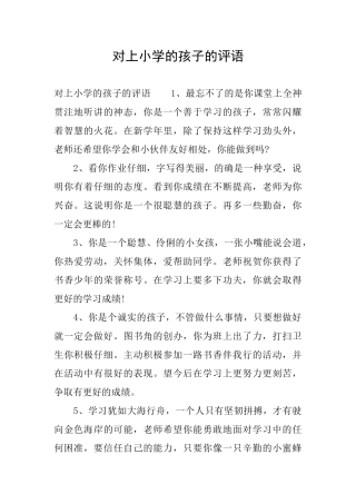 对上小学的孩子的评语