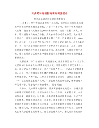 对多起私堵消防通道的调查报告