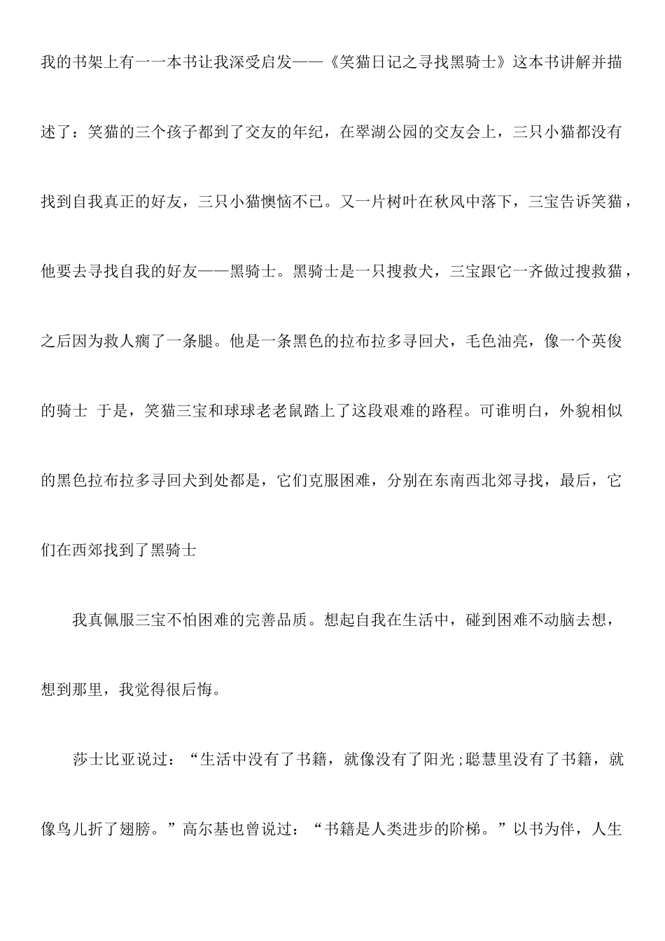 寻找黑骑士读后感_第2页