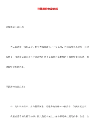 寻找黑骑士读后感