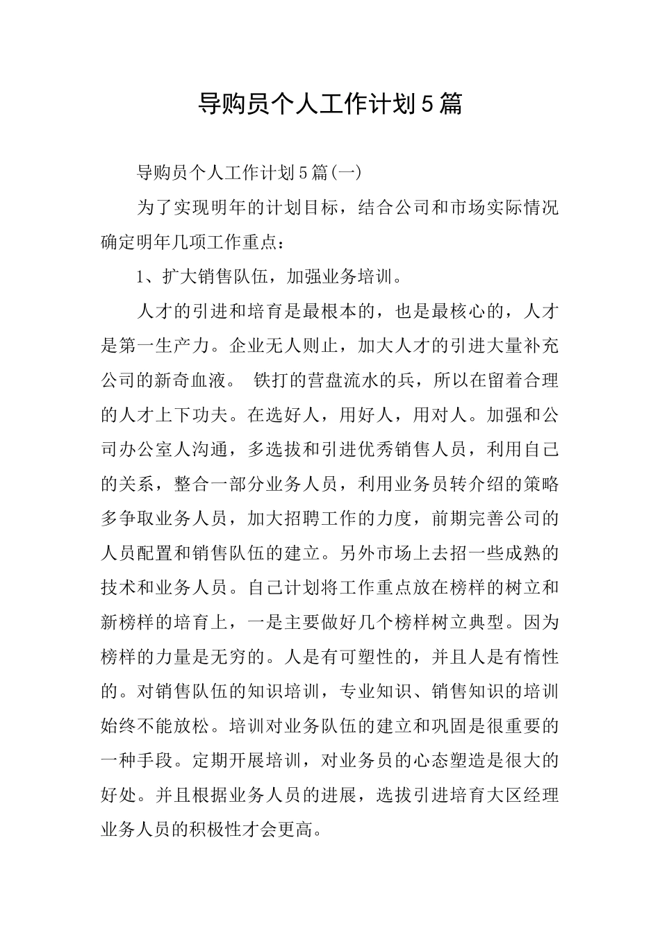 导购员个人工作计划5篇_第1页