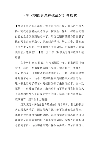 小学《钢铁是怎样炼成的》读后感