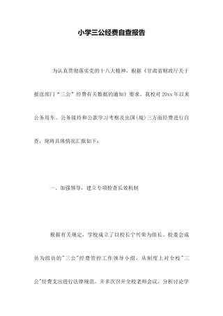 小学三公经费自查报告