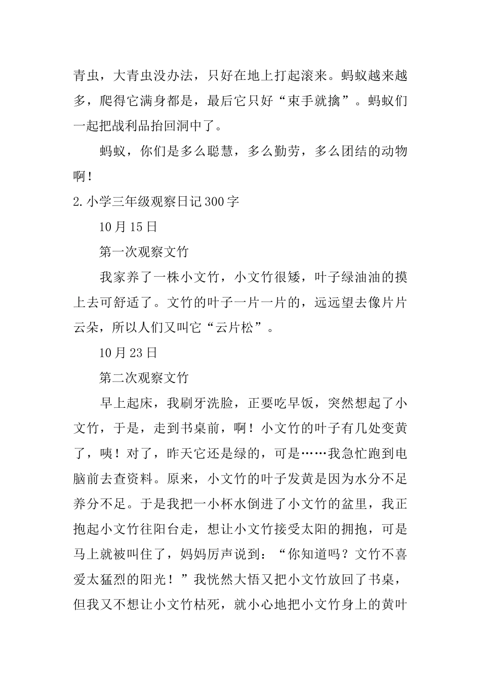 小学三年级观察日记300字_第2页