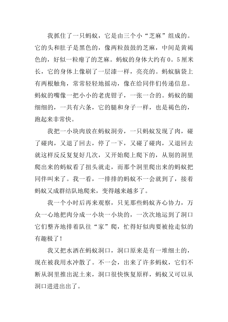 小学三年级语文周记400字五篇_第3页