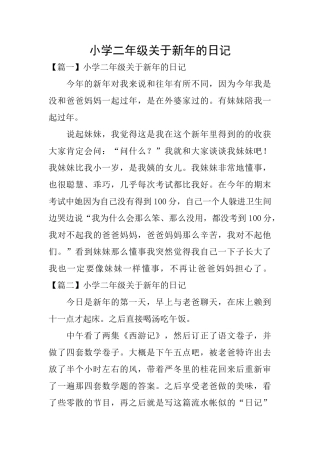 小学二年级关于新年的日记