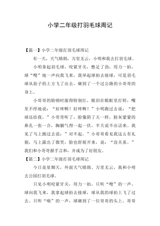 小学二年级打羽毛球周记