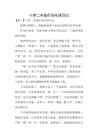 小学二年级打羽毛球日记