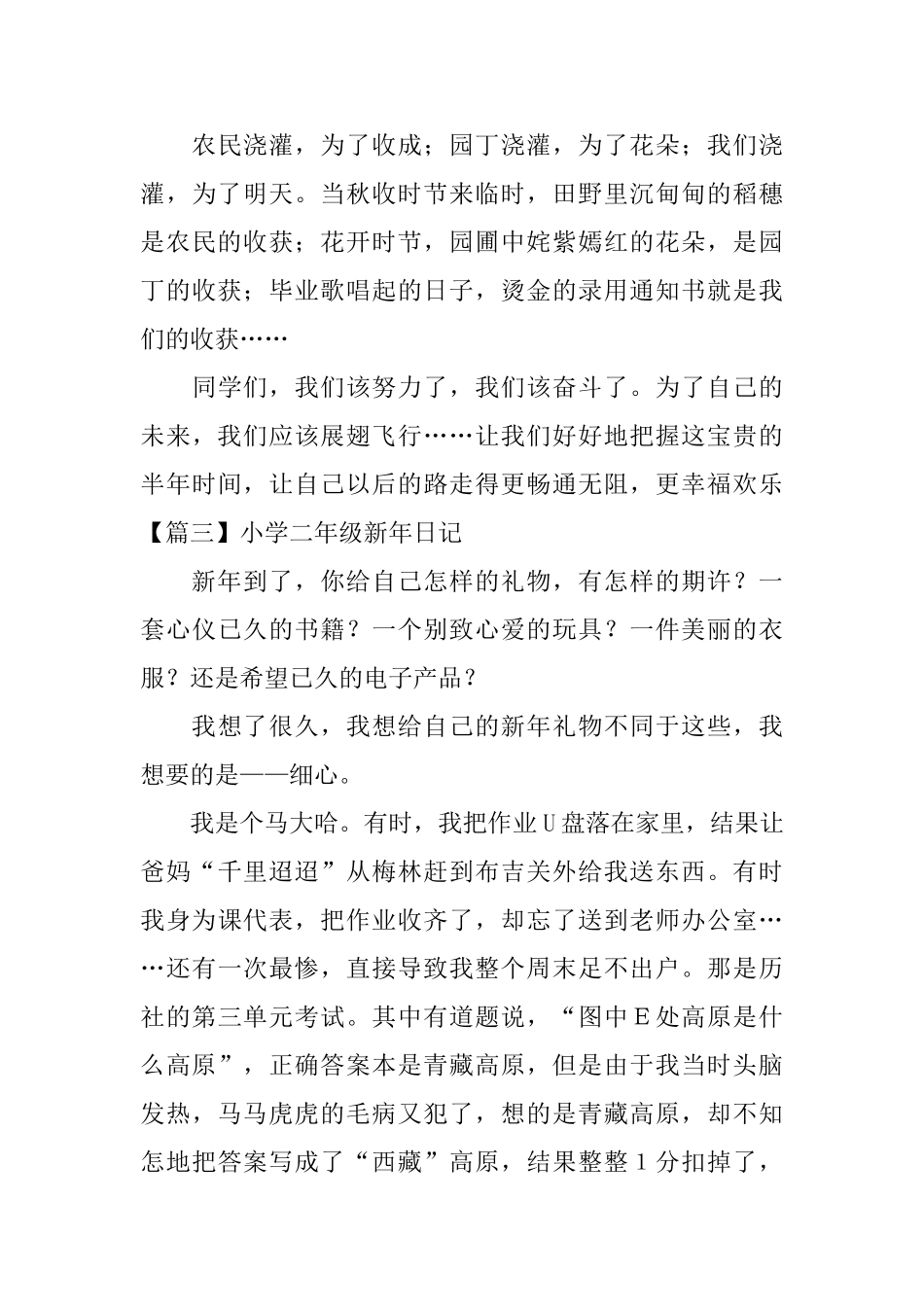 小学二年级新年日记五篇_第3页