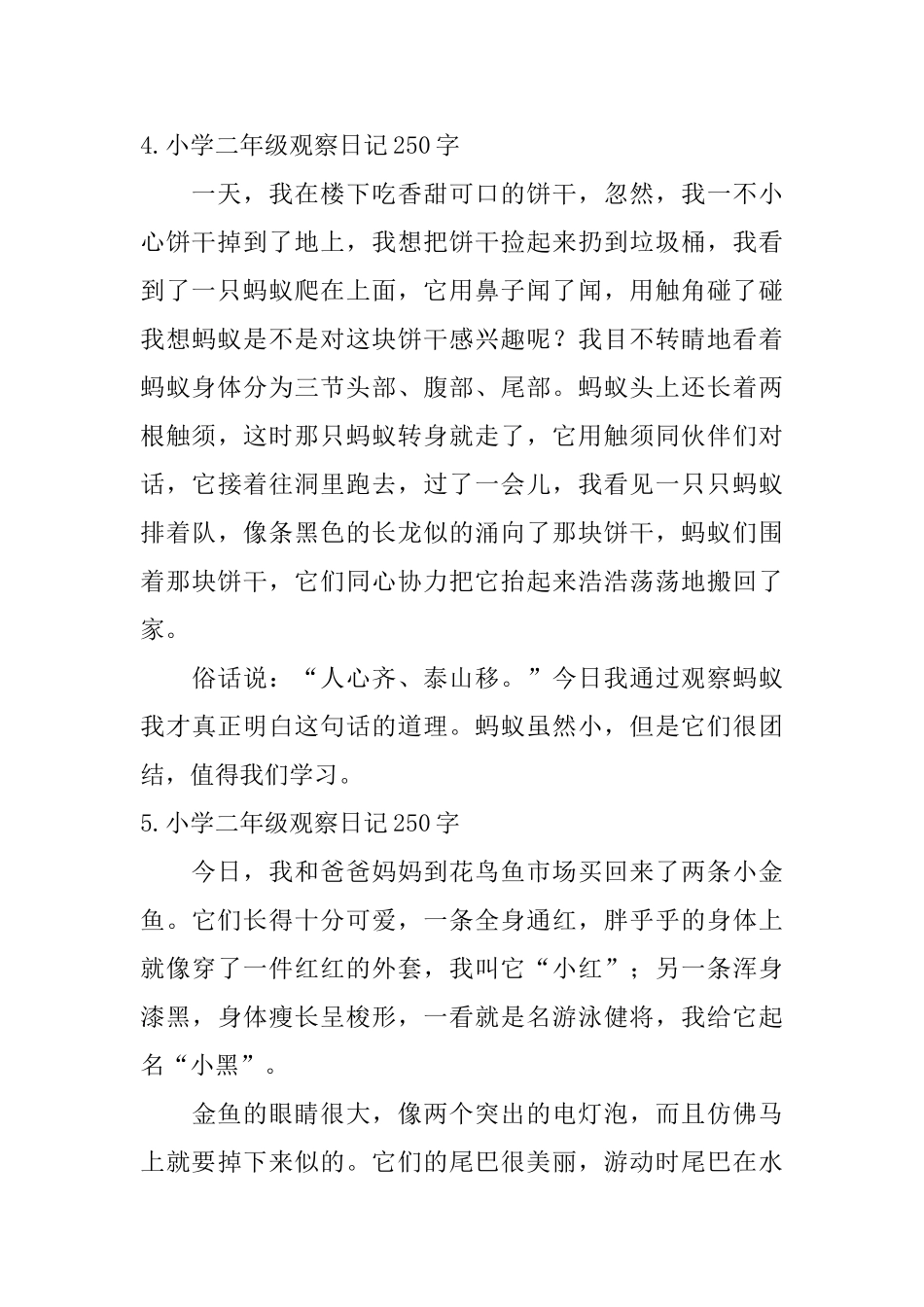 小学二年级观察日记250字_第3页