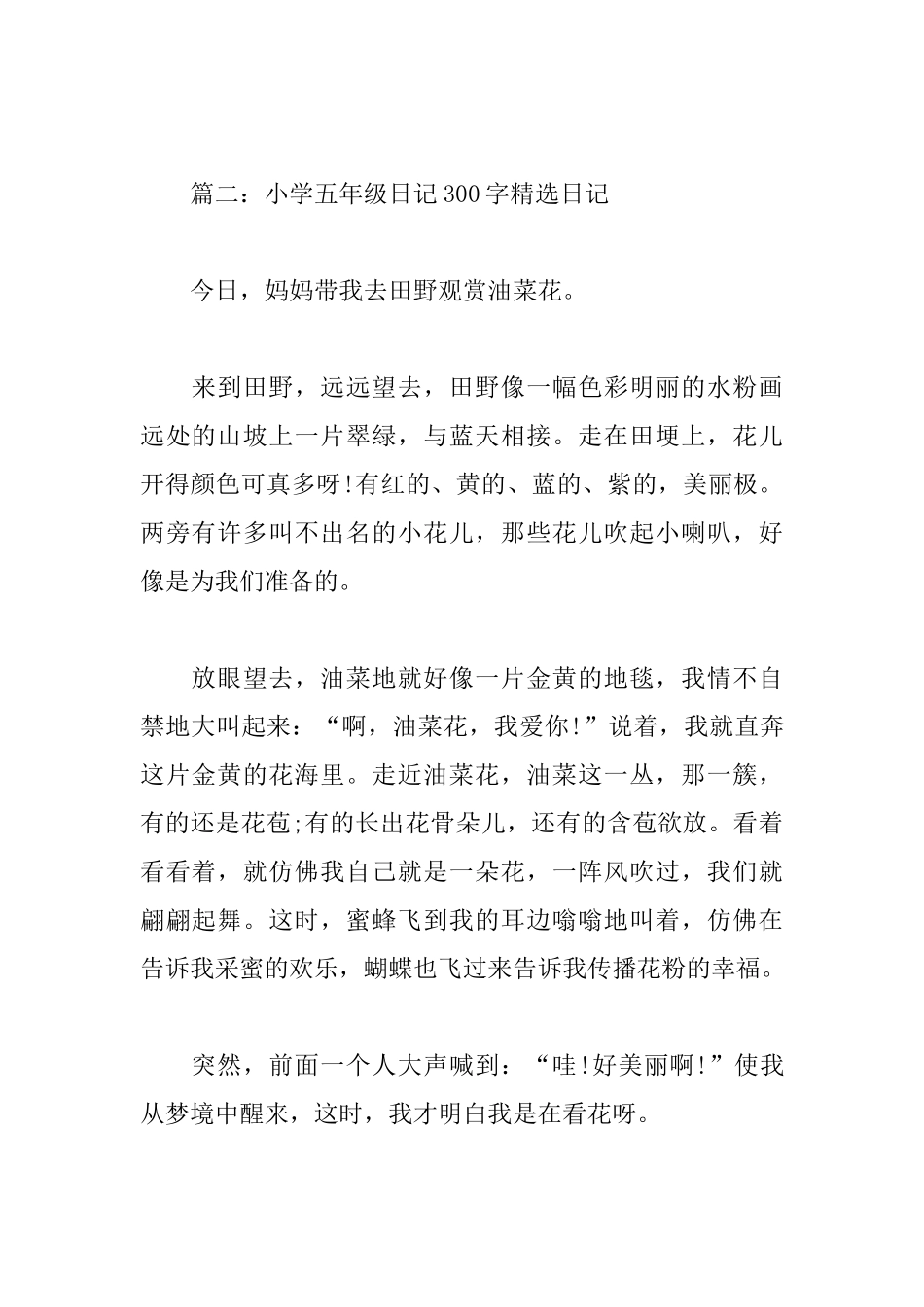 小学五年级日记300字精选日记_第2页