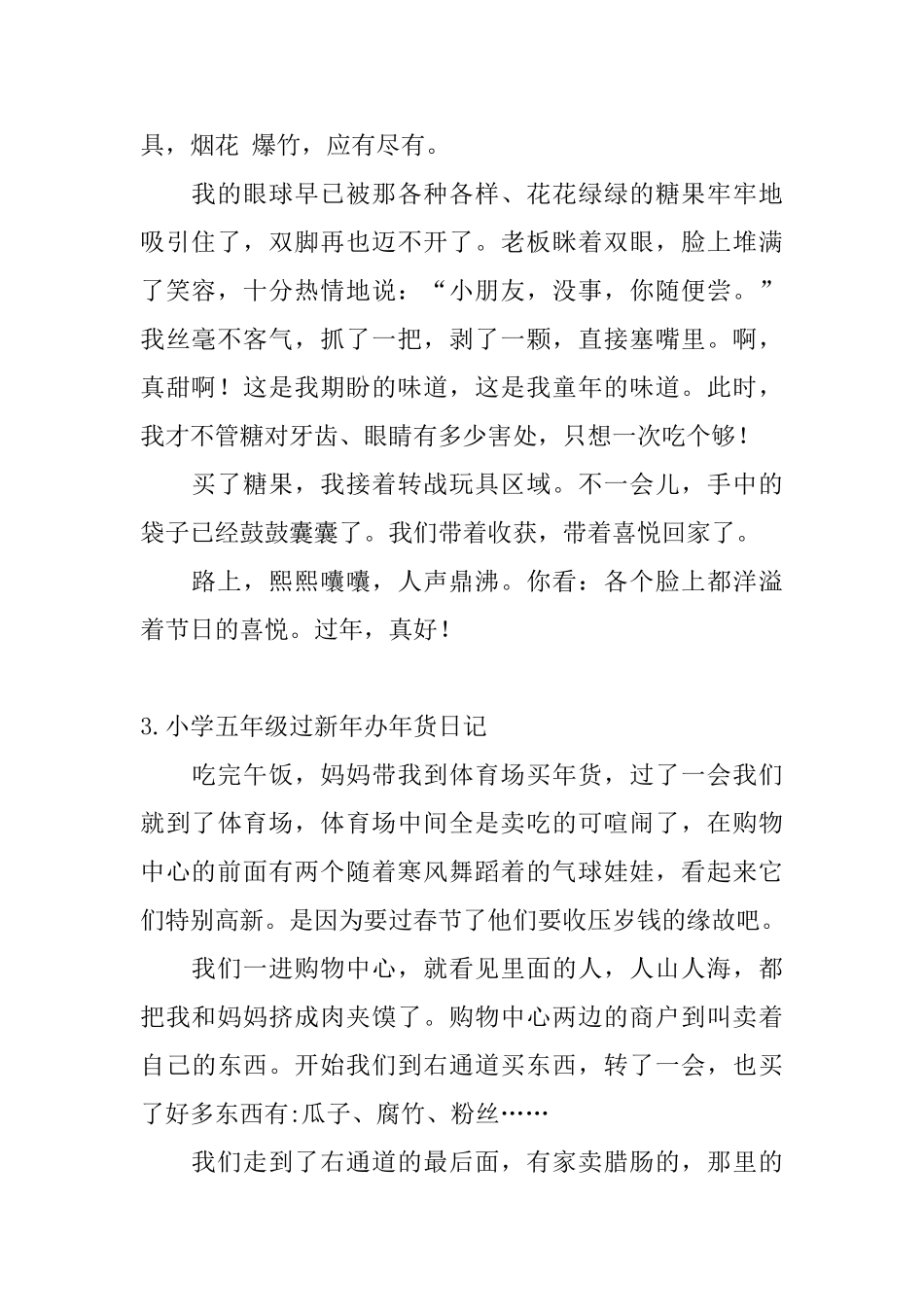 小学五年级过新年办年货日记5篇_第2页