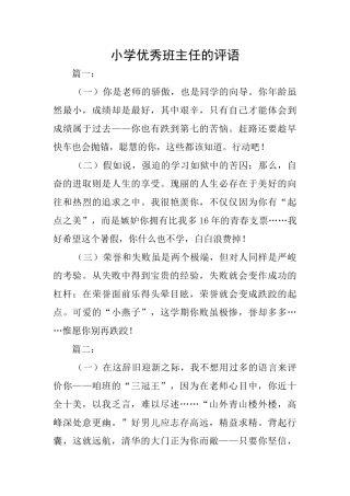 小学优秀班主任的评语