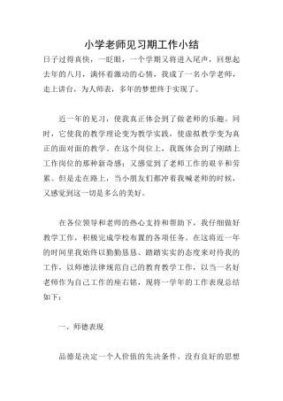 小学教师见习期工作小结