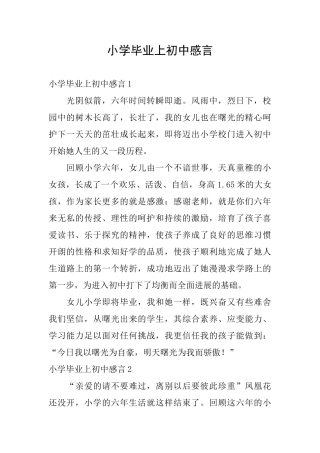 小学毕业上初中感言